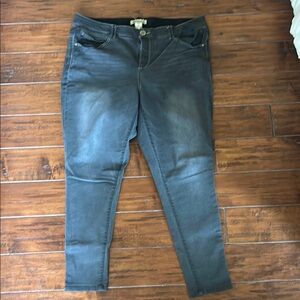 Democracy Gray Skinny Jeans